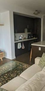 Queen West Furnished Modern 1 Bed 1 Bath Condo - Photo 4