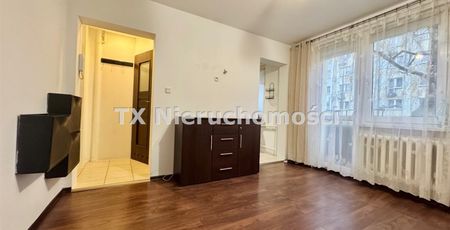 Sikornik - Фото 4