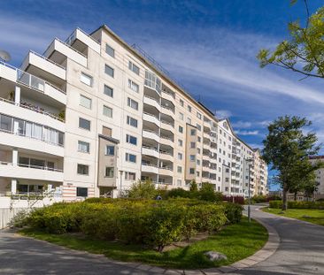 Lejonets Gata 345, Brandbergen - Foto 5