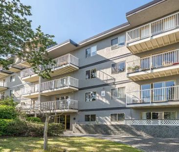 Rockmeare Manor Apartments — Studio Suite - Photo 6