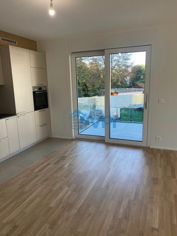 Nice 3 room apartment for rent in Pregny-Chambésy - Photo 4