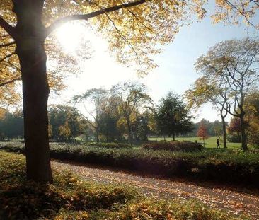 Statenweg, Rotterdam, Nederland - Foto 3