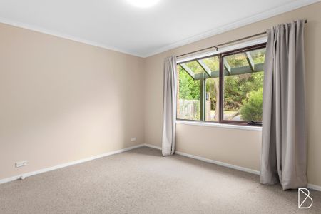 13 Wambool Street, Narrabundah ACT 2604 - House For Rent | Domain - Photo 3