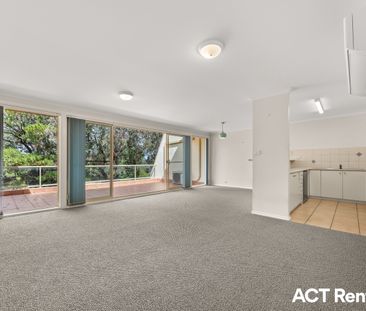 16/51 Leahy Close, Narrabundah ACT 2604 - Apartment For Rent | Domain - Photo 2