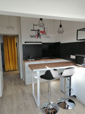 Location Appartement 1 pièce 20m² - Photo 4