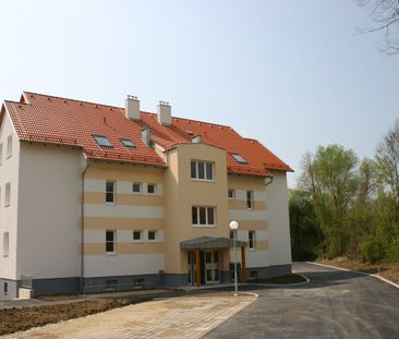 Schöne 3 Zimmerwohnung mit Balkon in der Nibelungenstadt Pöchlarn - Foto 5
