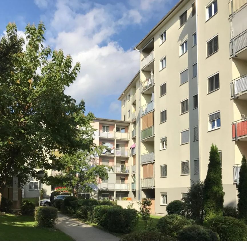 3 Zimmer Wohnung - Provisionsfrei! - Photo 2