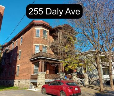 1 Bedroom Sandy Hill Apartment for Rent (255 Daly Ave) - Photo 3