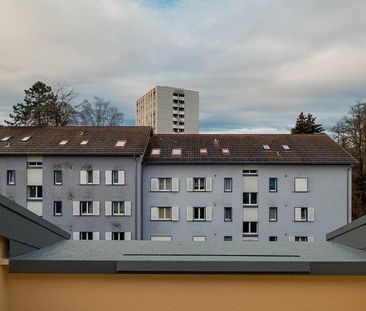 3.5-Zimmer-Wohnung in Schaffhausen - Foto 6