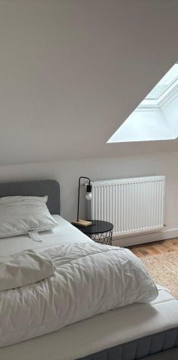 Appartement à louer, 1 pièce - Angers 49000 - Photo 1