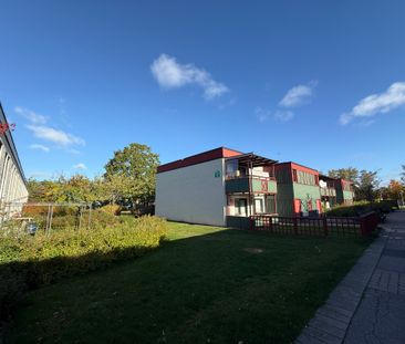 Två bröders väg 9 D Norrliden, Kalmar - Foto 3