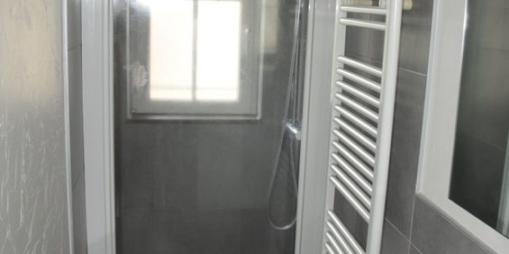 Location Appartement 1 pièce 29m² VITTEL 88800 - Photo 3