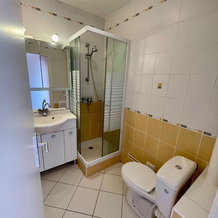 Location Appartement 1 pièce 20m² NANCY 54100 - Photo 4