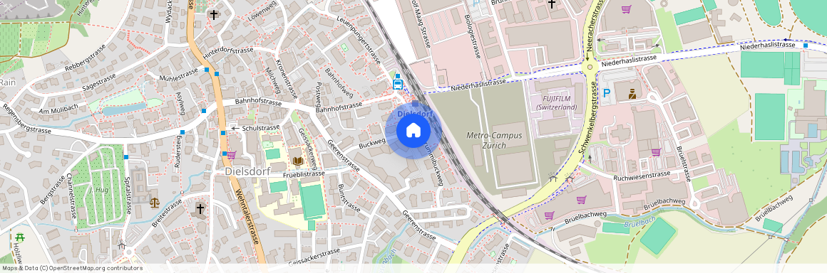 8157, Dielsdorf, Krummibuckweg, 2