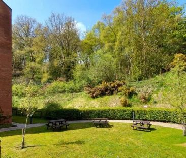 Gold Studio - Photo 6