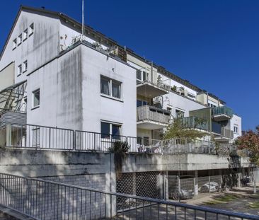 2-Zimmer-Wohnung in Bad Bergzabern - Photo 2