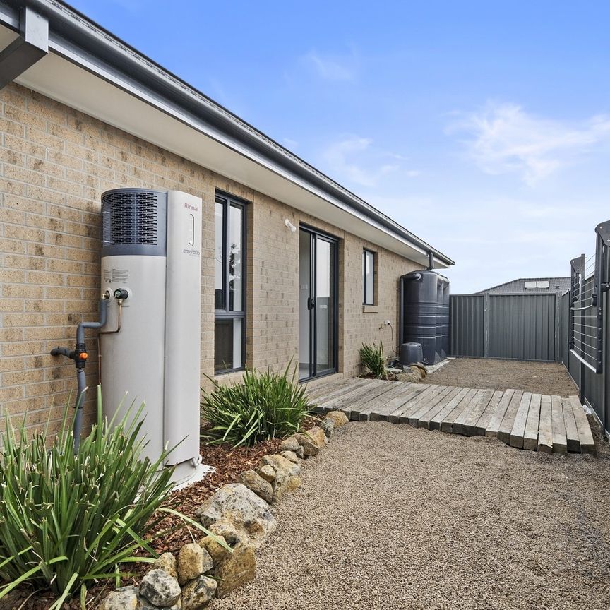 LOW MAINTENANCE LIVING IN THE HEART OF LUCAS - Photo 1