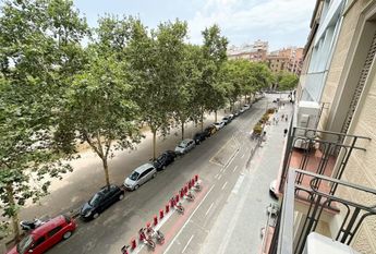 Carrer de Ribes, Barcelona, Catalonia 08013