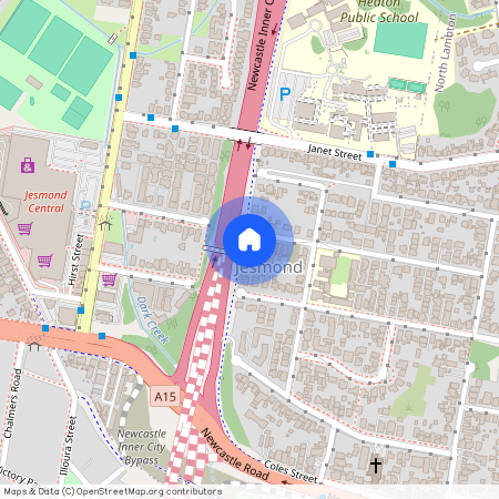 37 William Street, NSW 2299, Jesmond