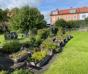 Borgaregatan, Nyköping - Foto 4