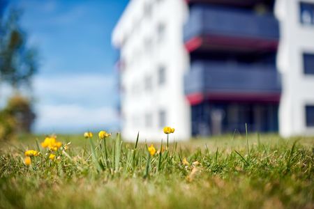 Geräumige Attika-Wohnung - Photo 5