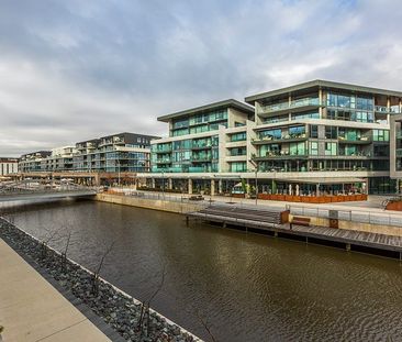 52/11 Trevillian Quay, Kingston ACT 2604 - Apartment For Rent | Domain - Photo 4