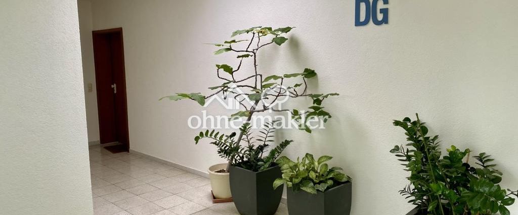 Furnished / Exklusives Penthouse mit Terrasse / inkl. allen NK und WIFI - Foto 1