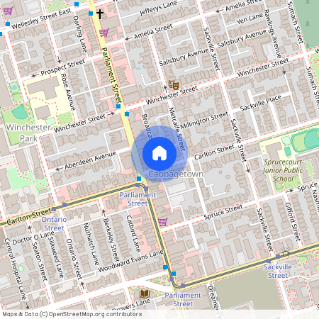 254A Carlton Street, Toronto