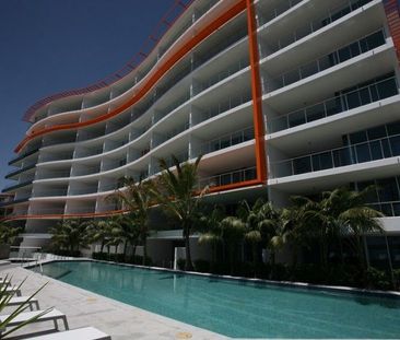 1 bedroom apartment overlooking the Broadwater - Photo 2