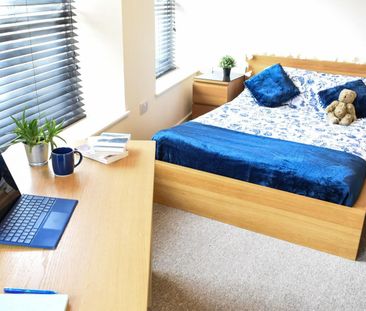 North Road West, Plymouth - Photo 6