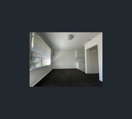 208 Gillies Street, Fairfield, Vic 3078 - Photo 2