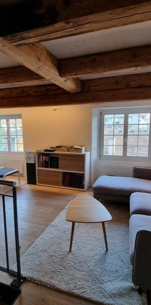 Neugut 3 Zimmer Loft Wohnung - Photo 2