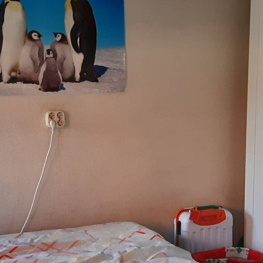 Borstelhuis - Photo 1