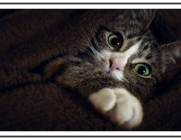 Neubau: TOP Zustand für Verwöhnte / frisch renoviert mit Balkonloggia - Photo 1