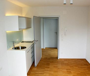 WG-Appartement der Extraklasse - Foto 1