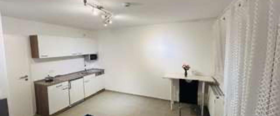 Voll möbliertes, renoviertes Studio-Apartment zu vermieten - Photo 1