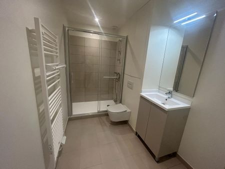 Location Appartement 1 pièce 31m² - Photo 4