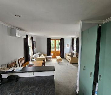 Gorgeous House With All Day Sun - Photo 4