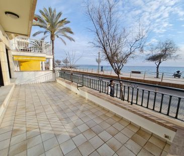 Palma de Mallorca, Balearic Islands 07007 - Photo 1