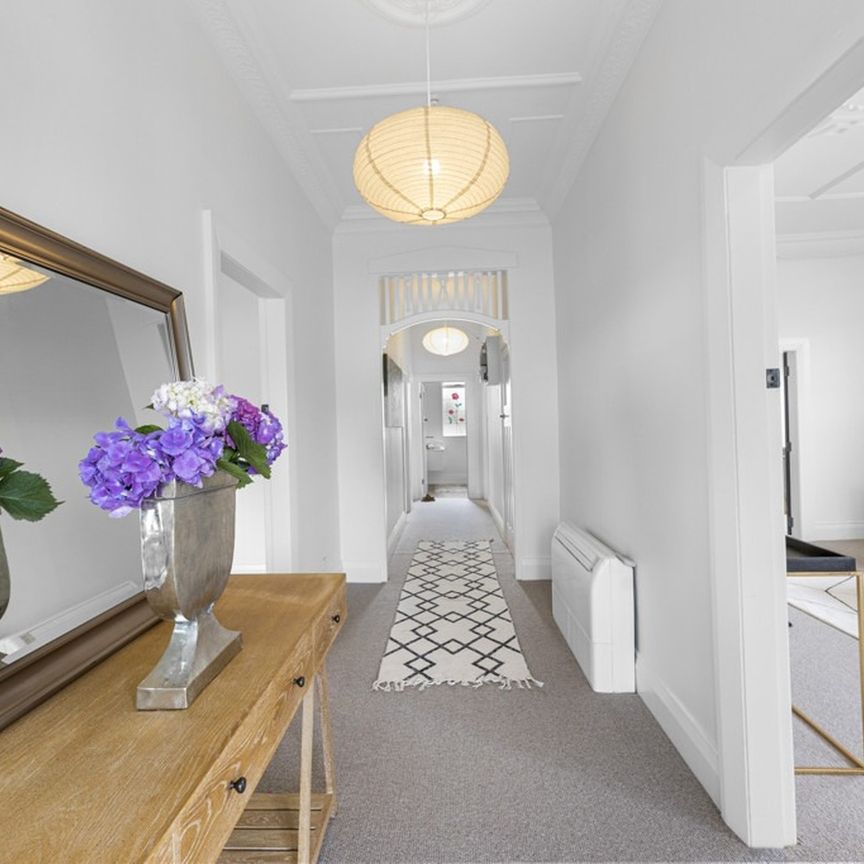 Saint Clair Stunner - Photo 1