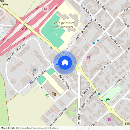 1196, Gland, Avenue Du Mont-Blanc, 2