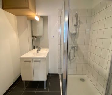 Location Appartement 1 pièce 25m² NANCY 54000 - Photo 4