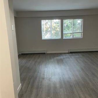 (8788 Fremlin) Pet-friendly One Bed Apartment for Rent - Photo 4