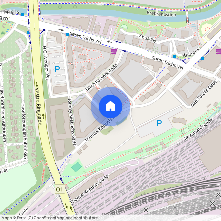 Aarhus C, Thomas Koppels Gade 52, st.