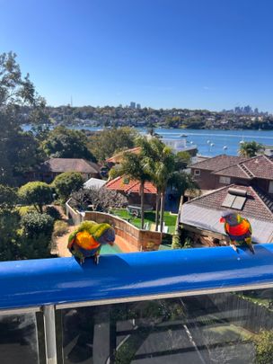 Drummoyne - Photo 1