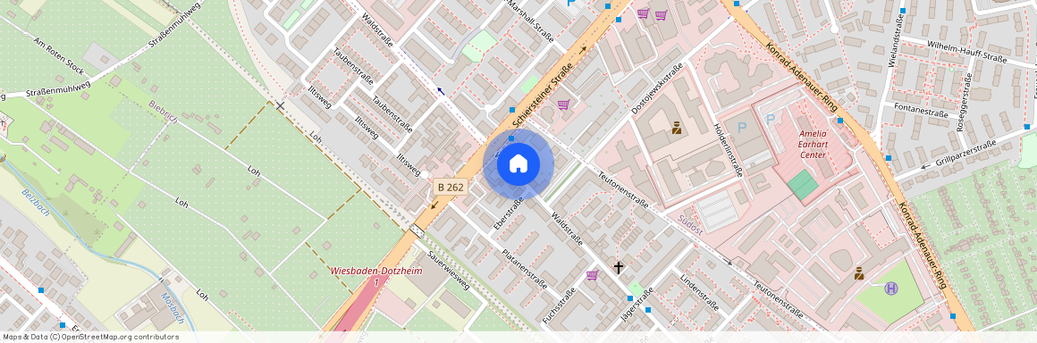 Waldstraße 113, 65187 Wiesbaden