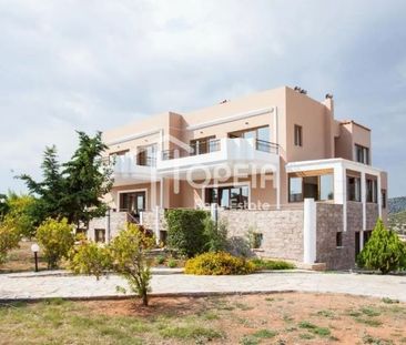Μονοκατοικία για ενοικίαση Λαγονήσι (Καλύβια Θορικού) - Photo 1