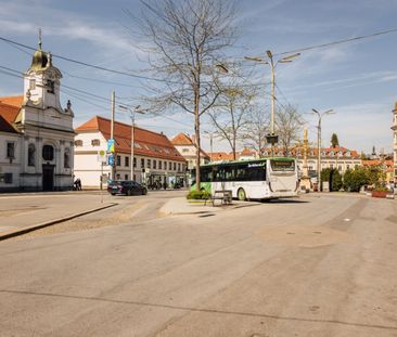 Erschwingliche Kleinwohnung in zentraler Lage! Top 509 - Photo 5