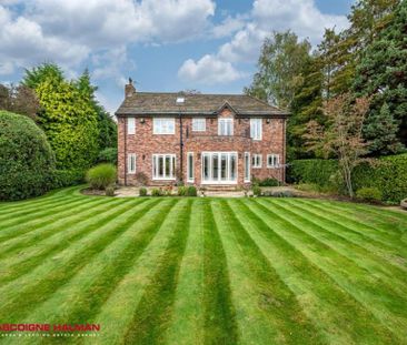 4 Bedroom Detached To Let - Photo 4