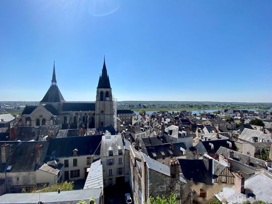 BLOIS - Coup de coeur - Photo 1